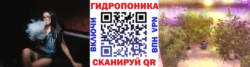 Шишки марихуана конопля Псков